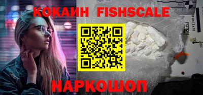 крисы Обь