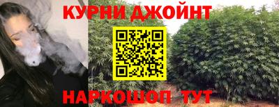 каннабис Новокубанск