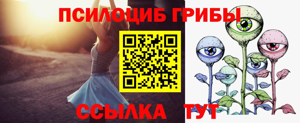 Псилоцибиновые грибы прущие грибы Ульяновск